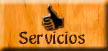 Servicios que ofrece la empresa