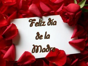 Feliz dia de la madre